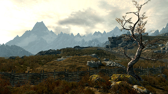 Skyrim 1