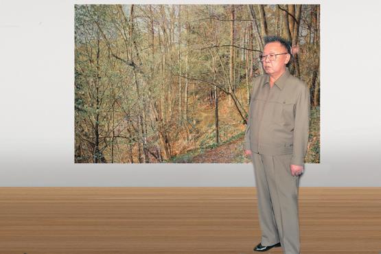 Kim Jong Il looking at Bundesrat