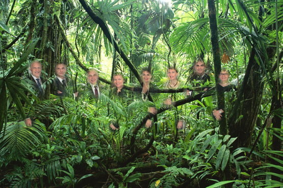 Im Dschungelcamp (Montage: Peter Dietz)