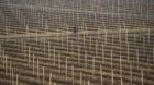 A North Korean man rides a bicycle on the grounds of a communal apple farm on the outskirts of Pyongyang, North Korea on Tues