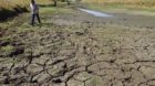 In this Aug. 3, 2012 photo, Tony Frost, of Frost Farms, surveys a pond in the cattle pasture that serves as the water source