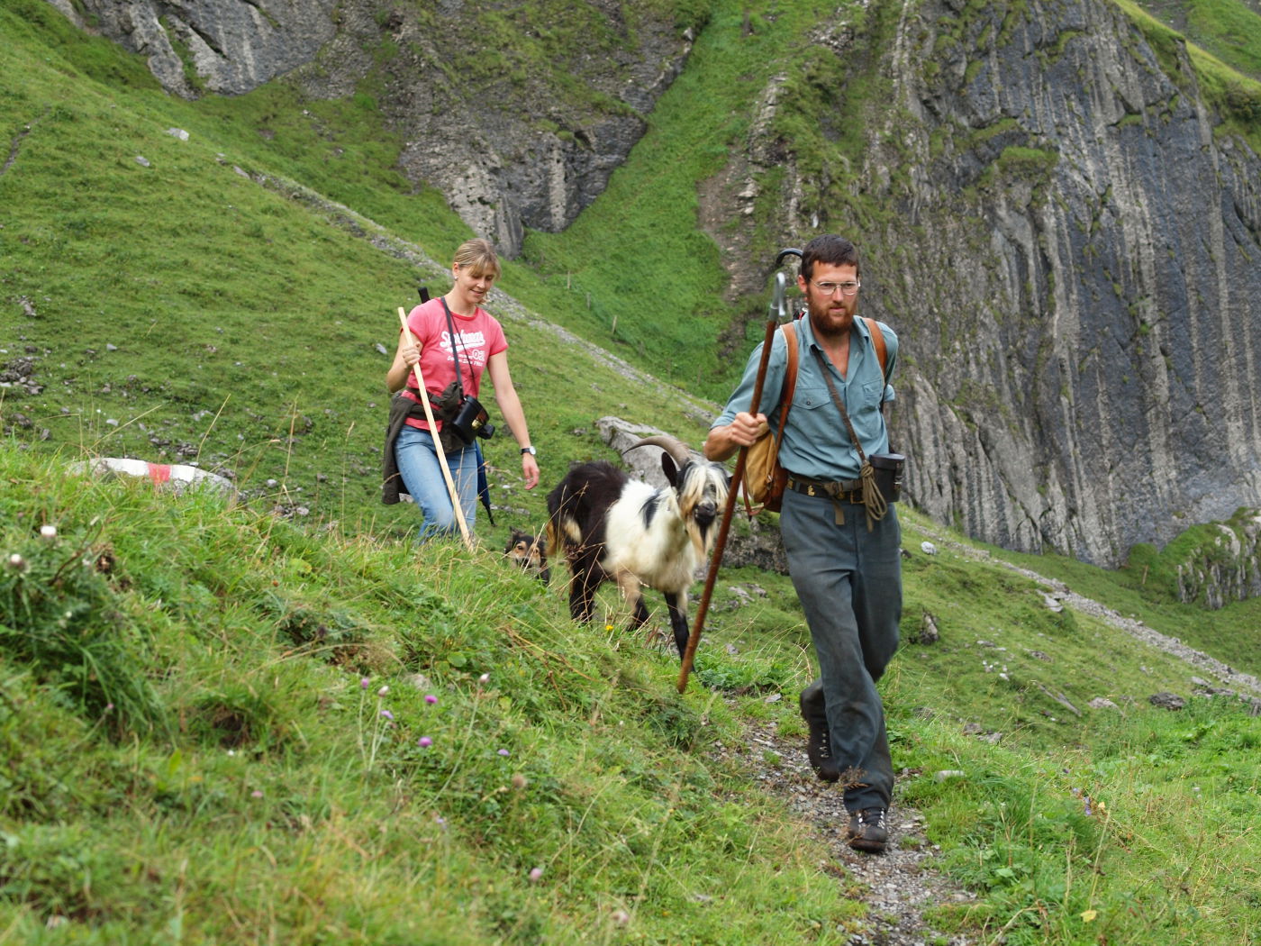 Auch ein Tier geniesst eine Wanderung mit den Eltern 