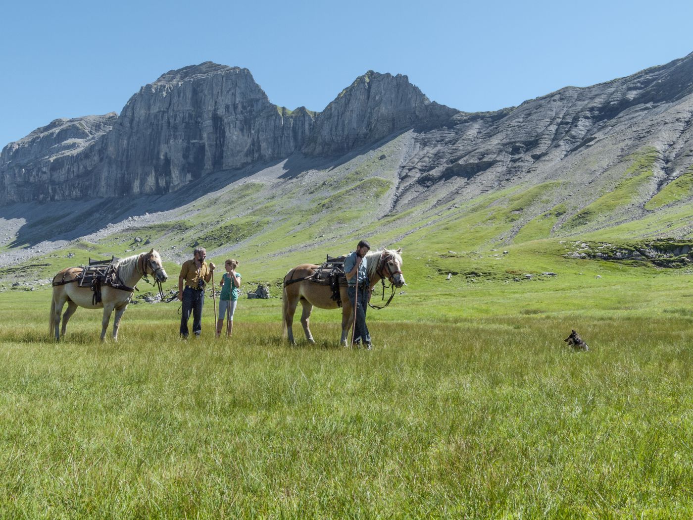 Cowboys und - Girl in den Weidegebieten 