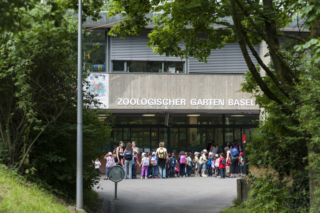 Ehemaliger Zolli-Mitarbeiter sitzt nun in U-Haft class=