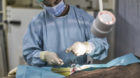 An operation is practized on a dummy, pictured on site of the medical corps of the Swiss Armed Forces on June 18, 2013, in Bu