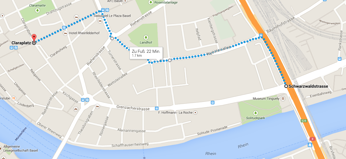 So sähe die vorgeschlagene Alternativroute aus. Anstatt über die Grenzacherstrasse, rüden die Buslinien 34 und 42 der BVB über die Wettsteinallee, den Riehenring, über die Messe und die Clarastrasse zum Claraplatz gelangen.