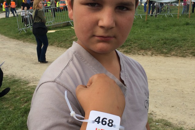 Schweizer Schandfleck class=