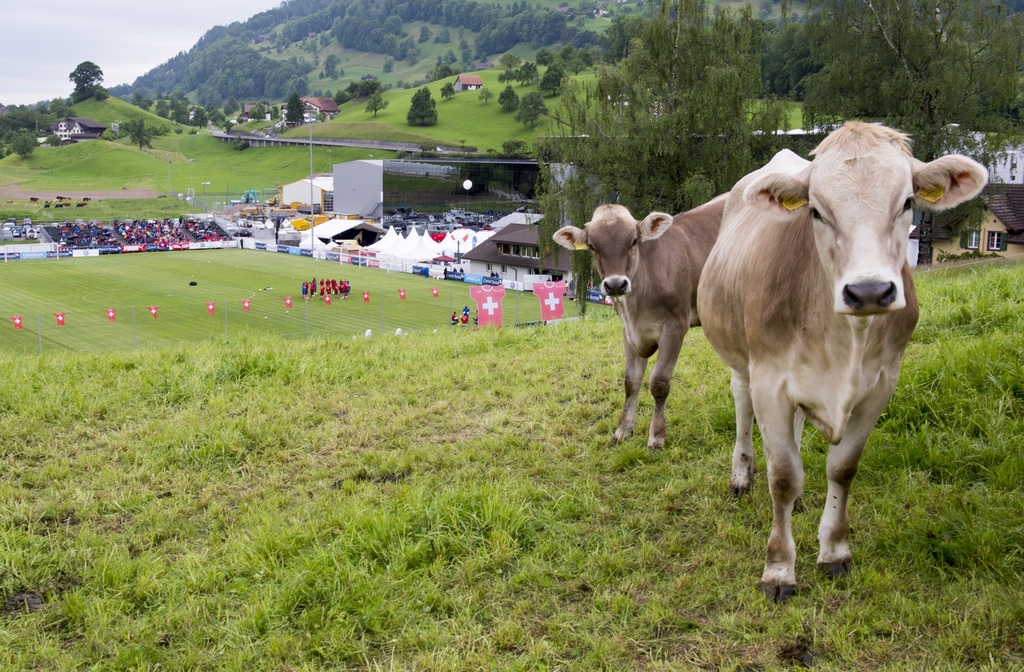 Ländliches Idyll über dem Vierwaldstättersee: Blick von einer Kuhweide auf das Stadion in Weggis, wo die Schweizer Nationalmannschaft ihre WM-Vorbereitung absolviert.
