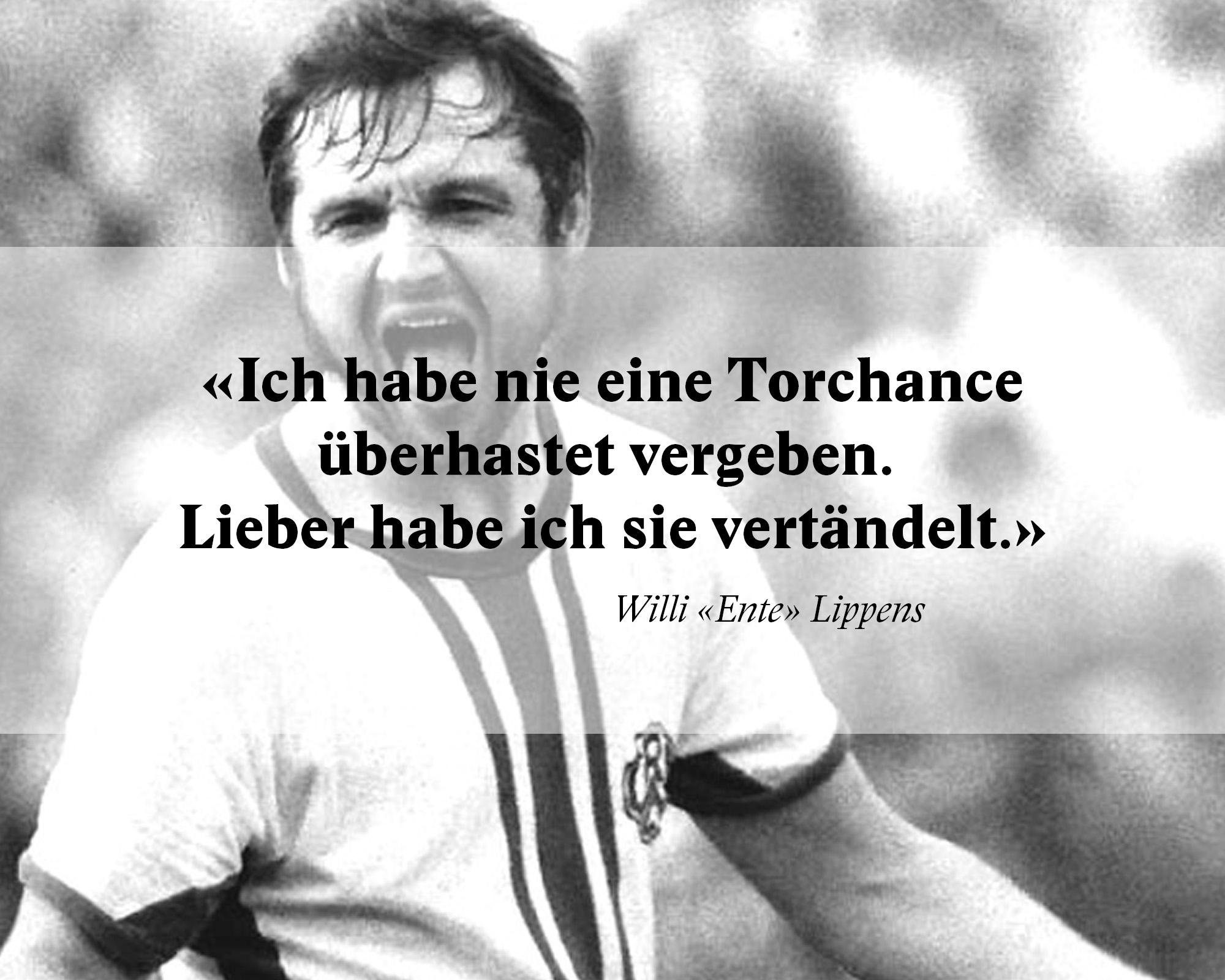 Fussballzitate WM Brasilien