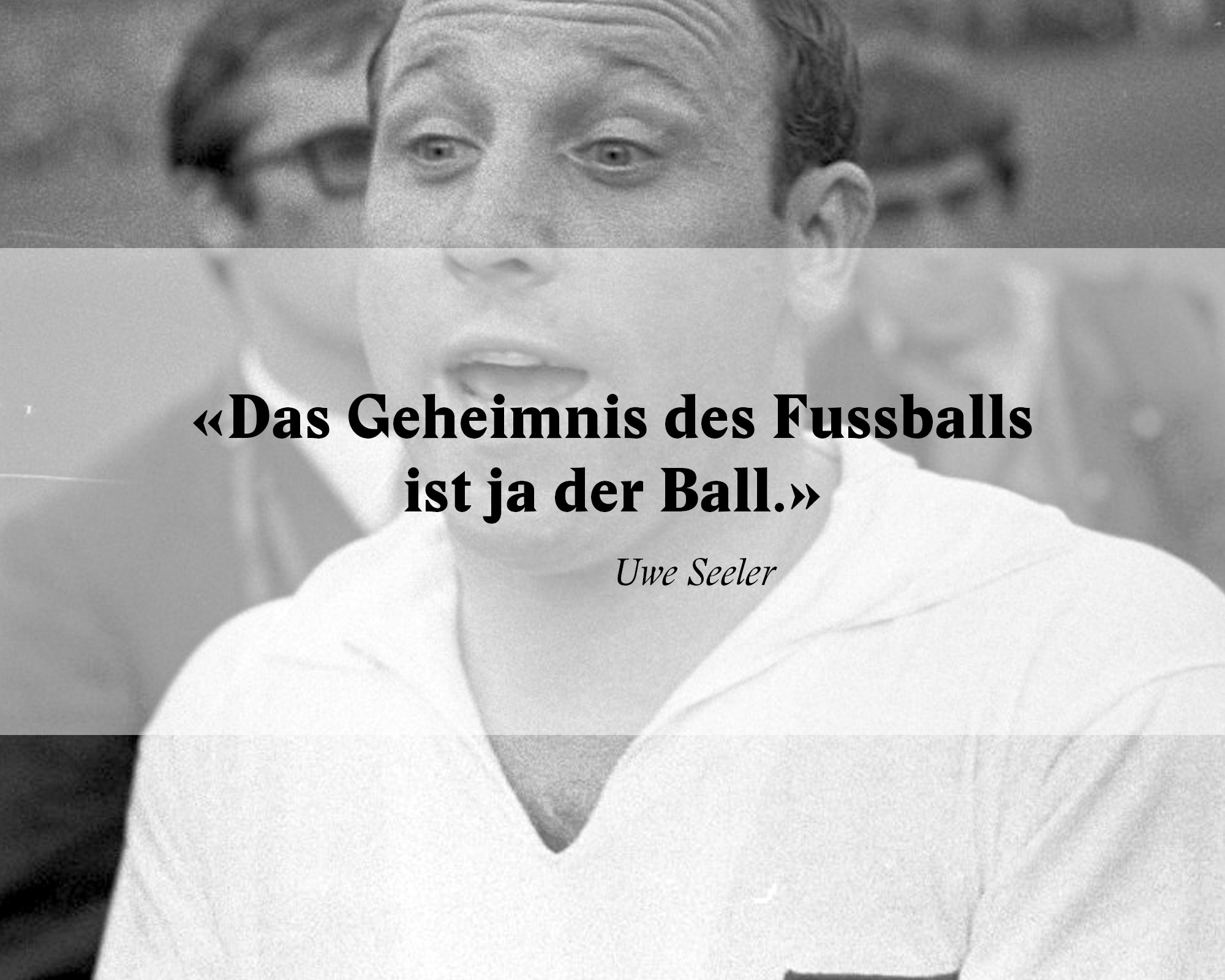 Fussballzitate WM Brasilien