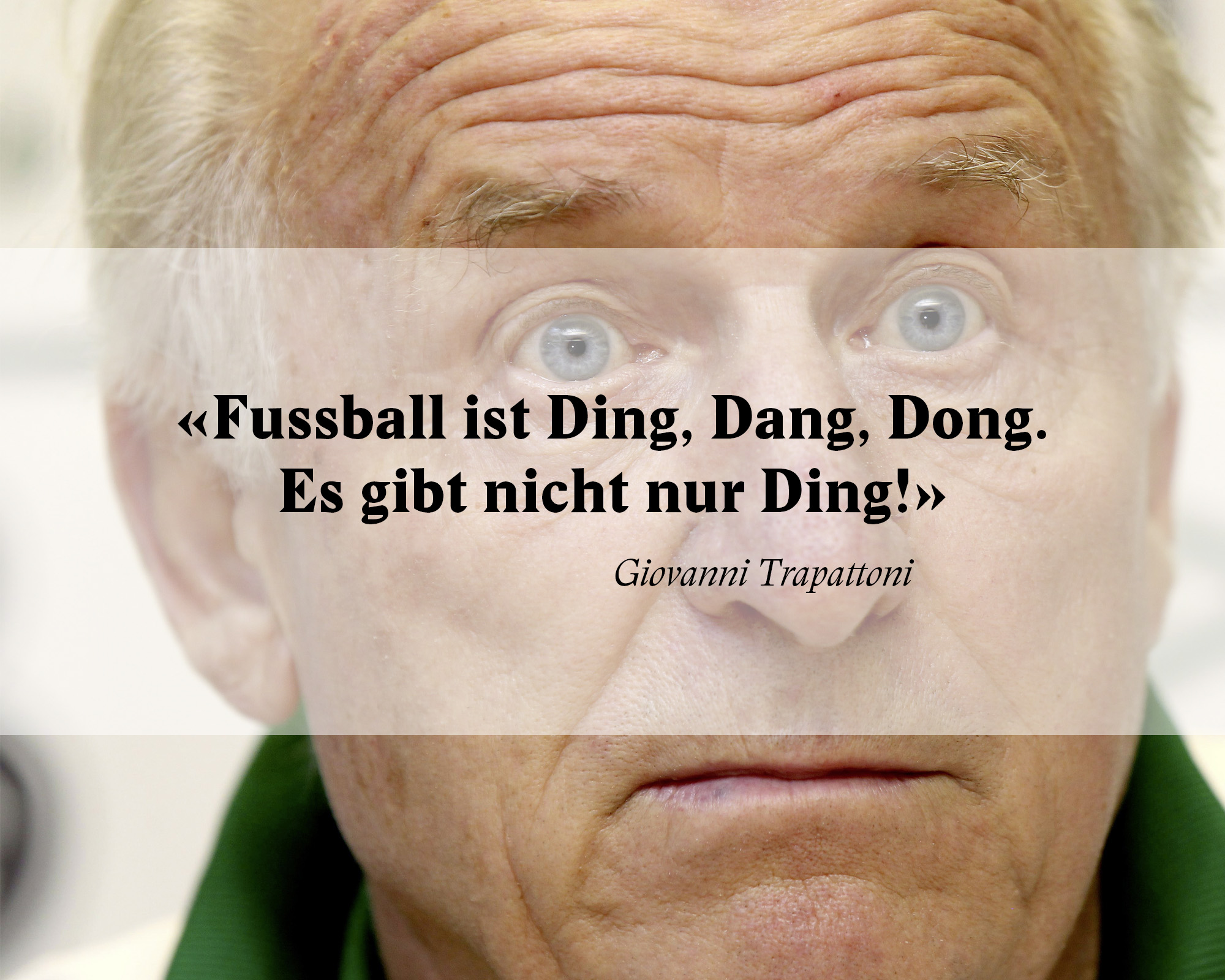 Fussballzitate WM Brasilien