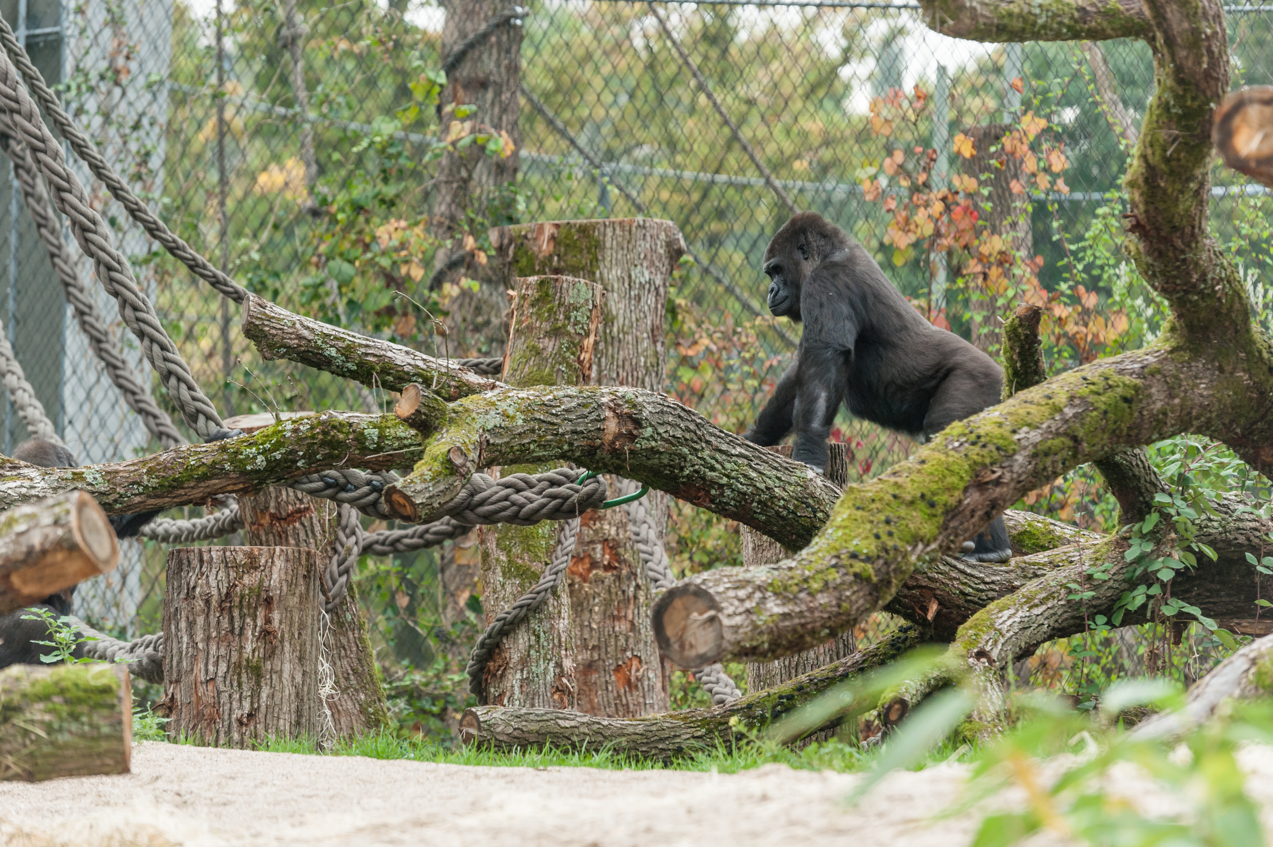 Zoo Basel