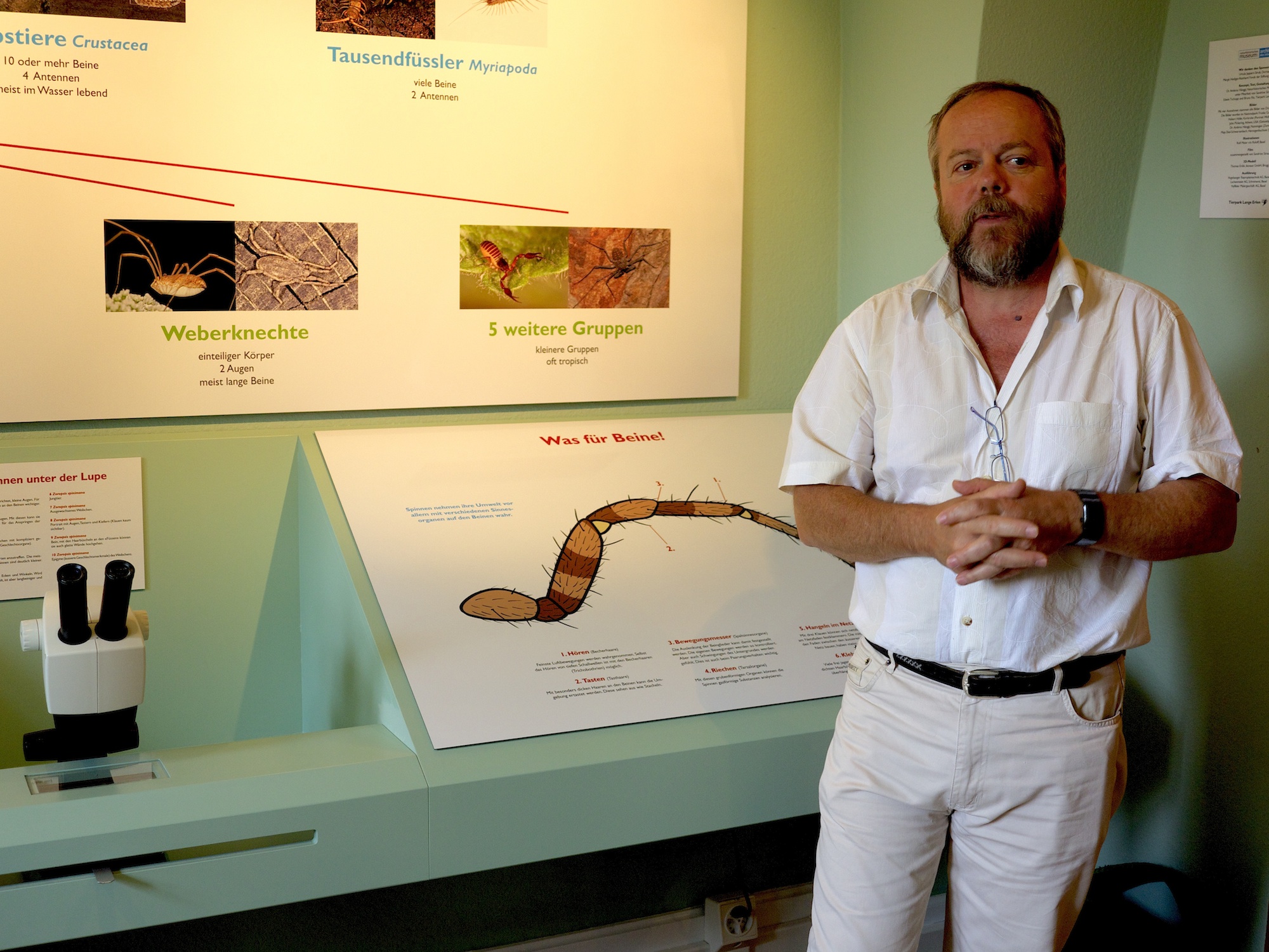 Will in nüchternem TOn über die Spinnen informieren: Ausstellungskurator Dr. Ambros Hänggi.
