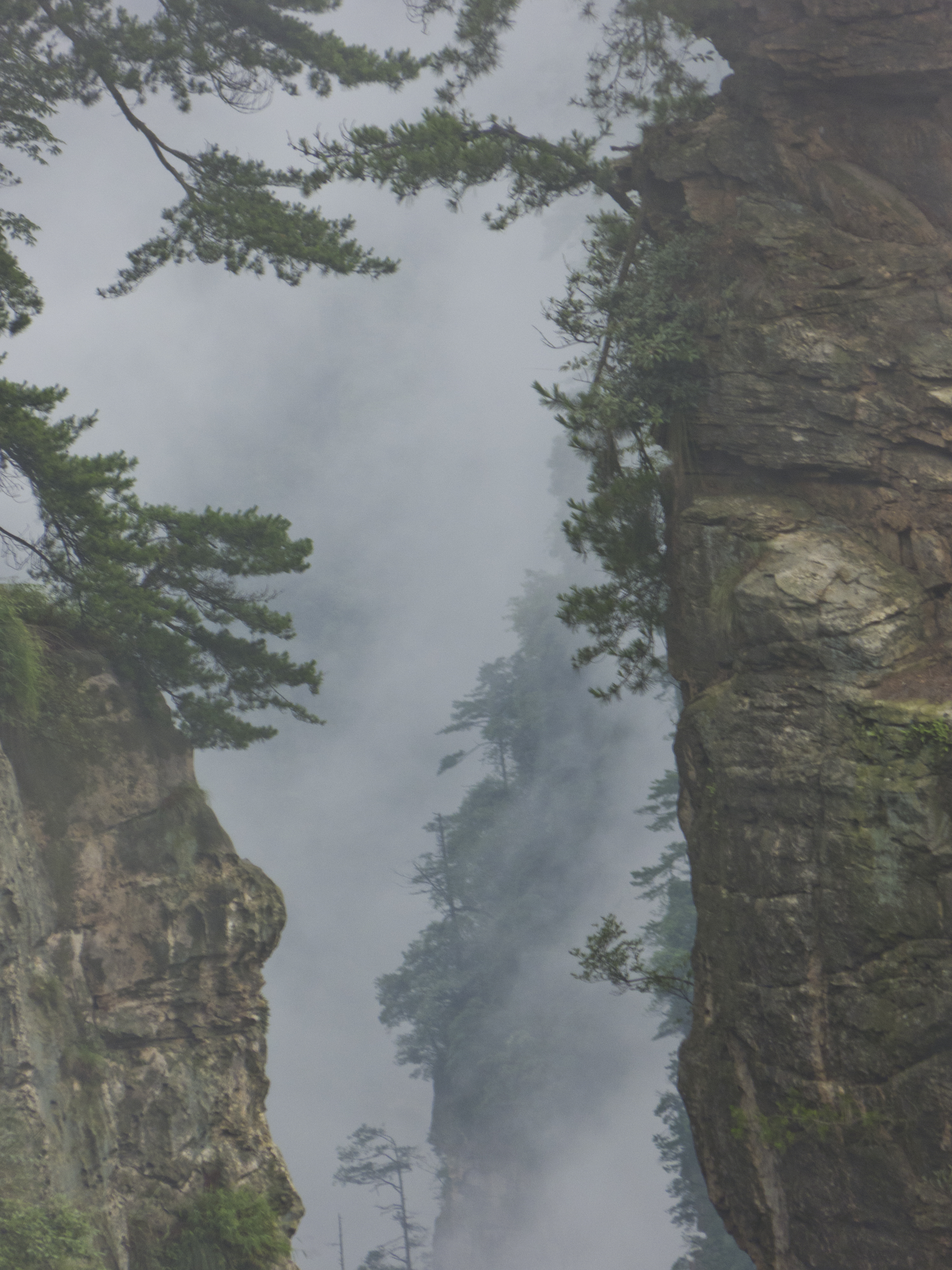 Martin Hafen hat es bis China geschafft: Eine neblige Felslandschaft in Zhangjiajie in Zentralchina.