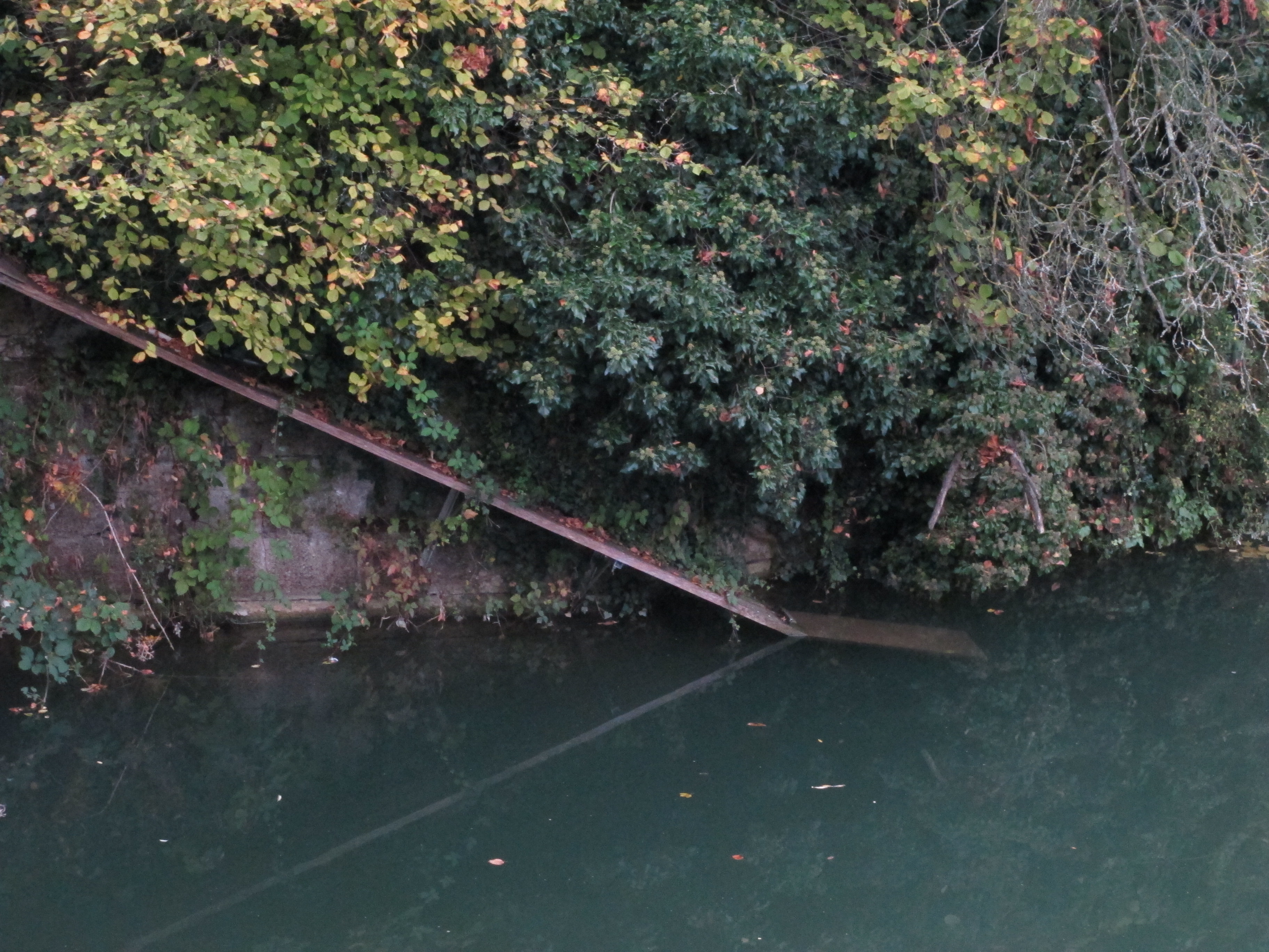 Eine Biberrampe bei Nepomukbrücke in Dornach. 