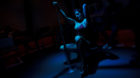 A girl performs a pole dancing act in the Hospital Bar in the Amsterdam Redlight District. For one day a year, the area in th