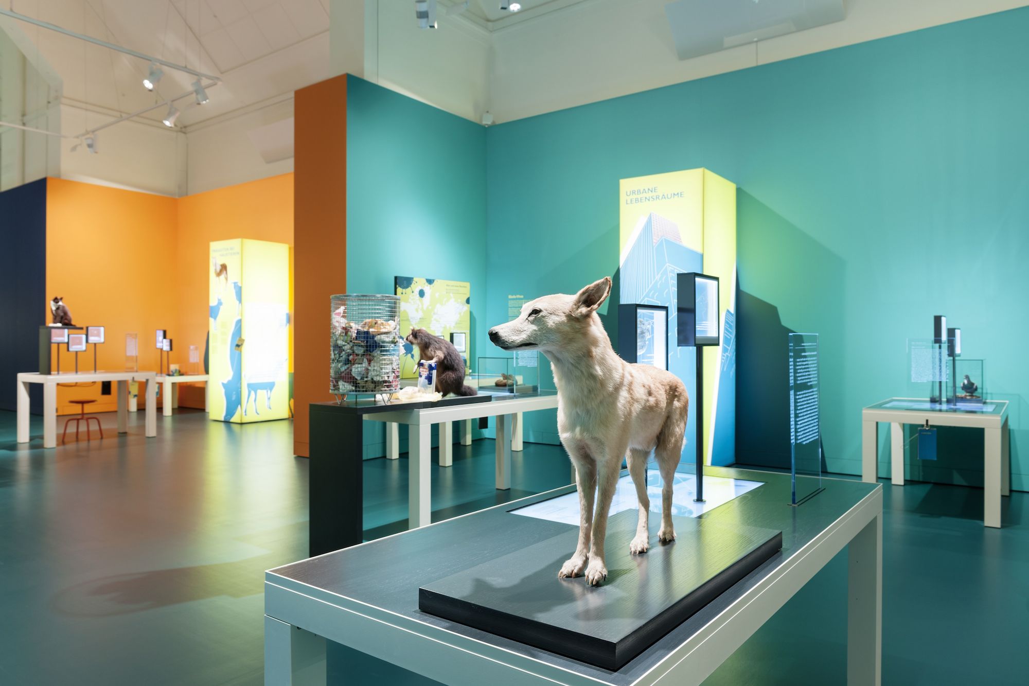 Blick in die schön gestaltete Ausstellung