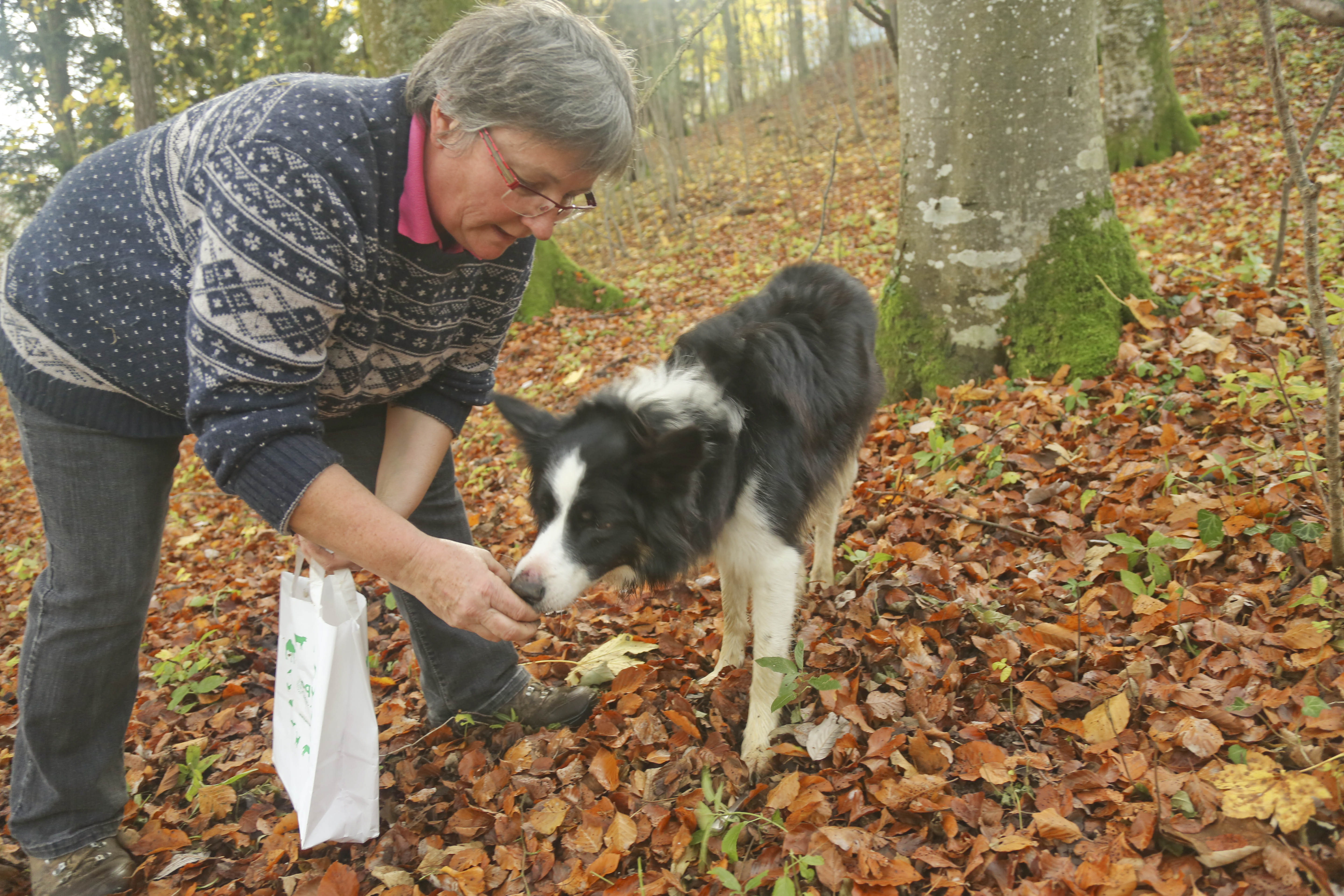 «Die Ausbildung war unkompliziert»: Kathrin Bitterlin brachte ihrem Hund Titus das Trüffeln selber bei.