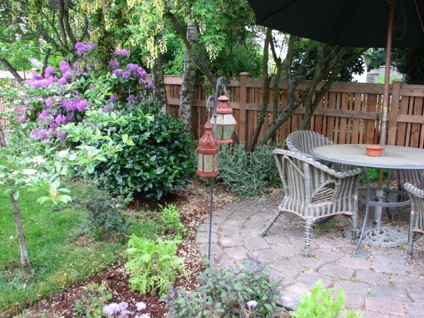 Here's where I sat many mornings, watching my cats chase butterflies while I drank my first cups of coffee and ate whipped honey lemon on rosemary bread.