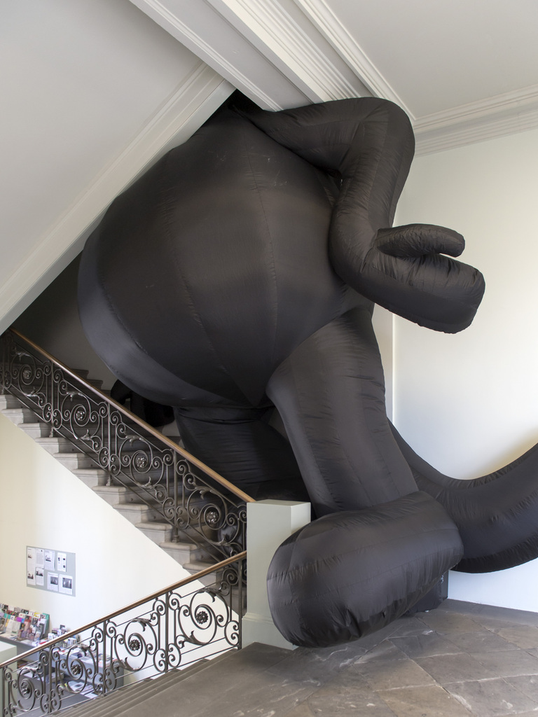 Felix, der Kater, würde gern die Treppe hoch.