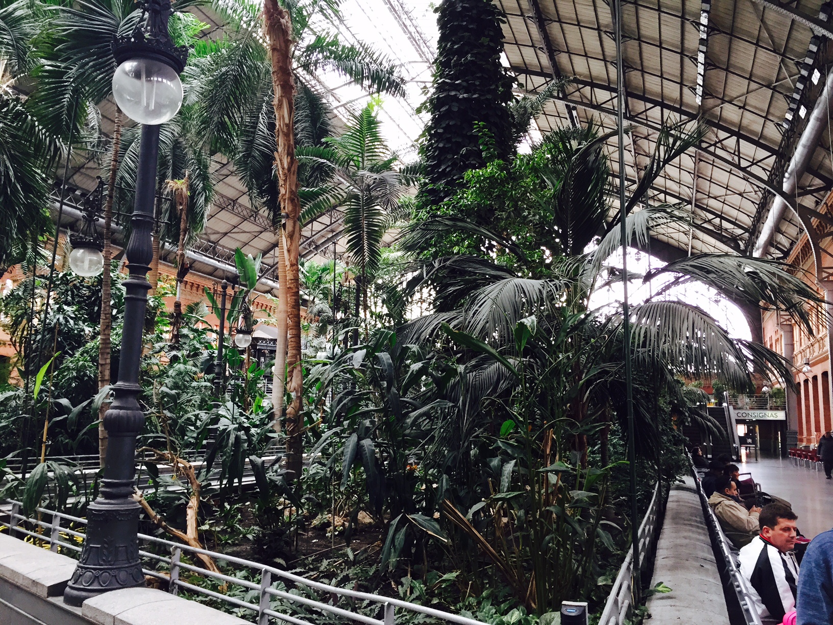 Der Bahnhof Atocha, eine Oase.