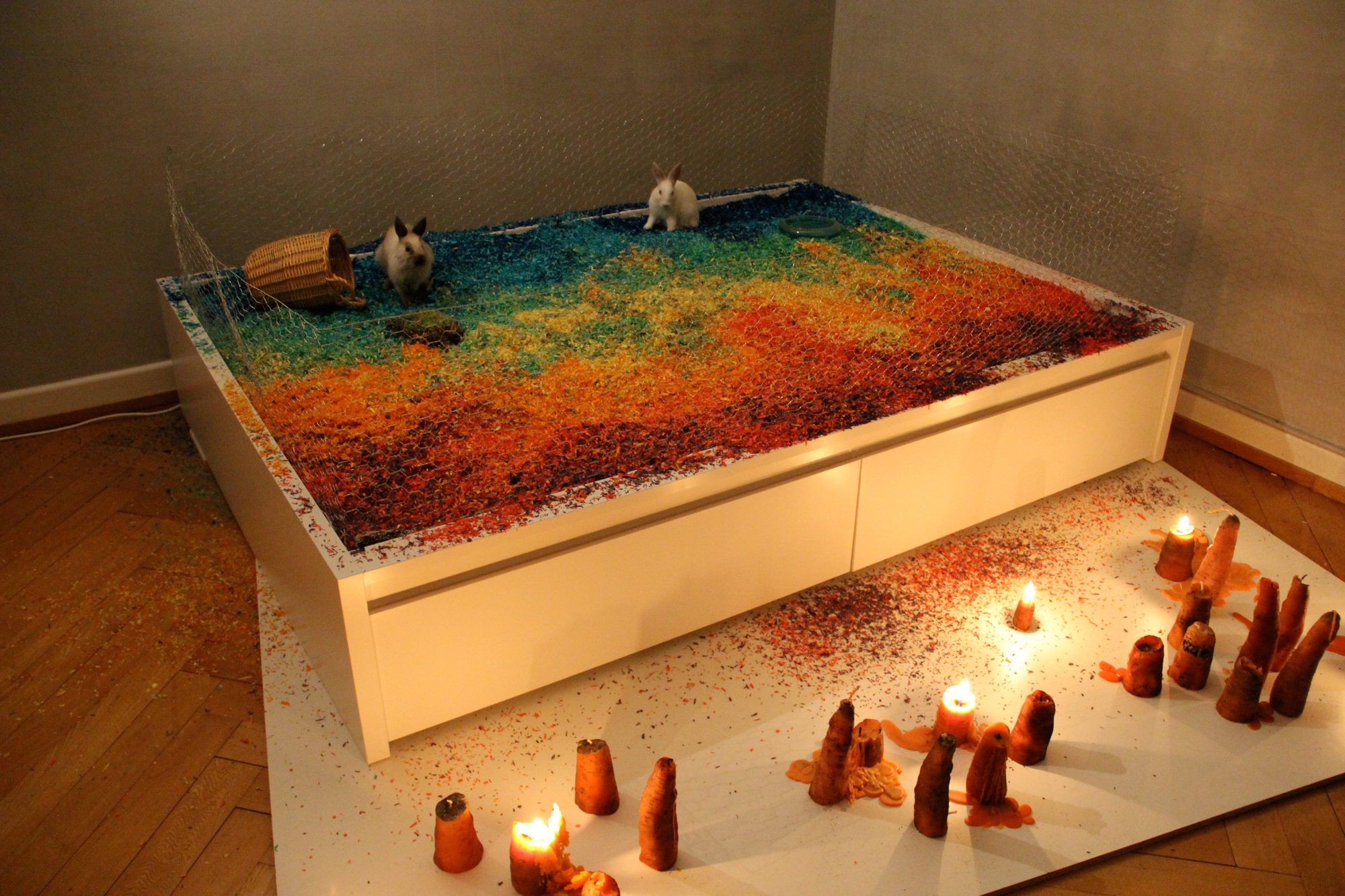 Kaninchen im Bett – die Januar-Ausstellung.