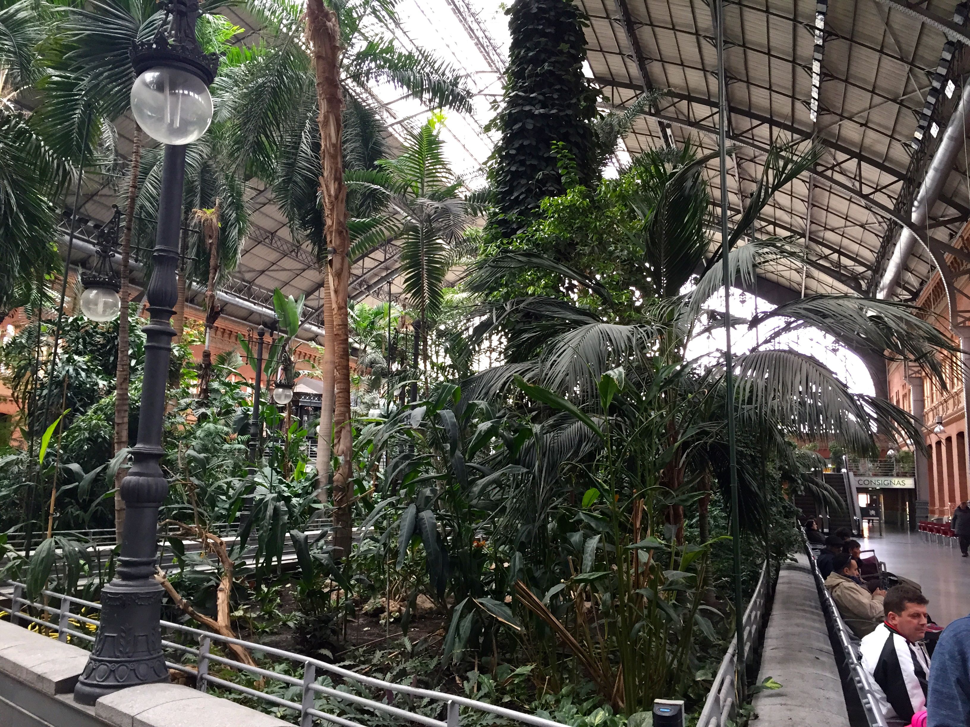 Bahnhof oder Park? Der Atocha-Bahnhof ist beides.