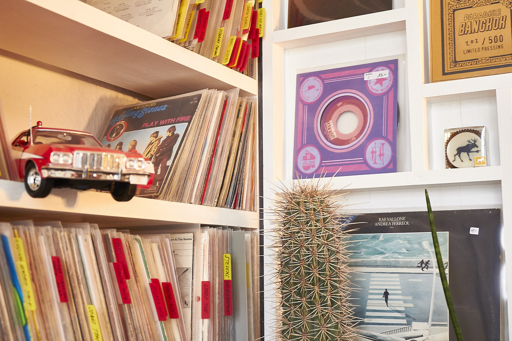 Bei «Elch Records» sieht es aus wie in einem privaten Jungen-Zimmer