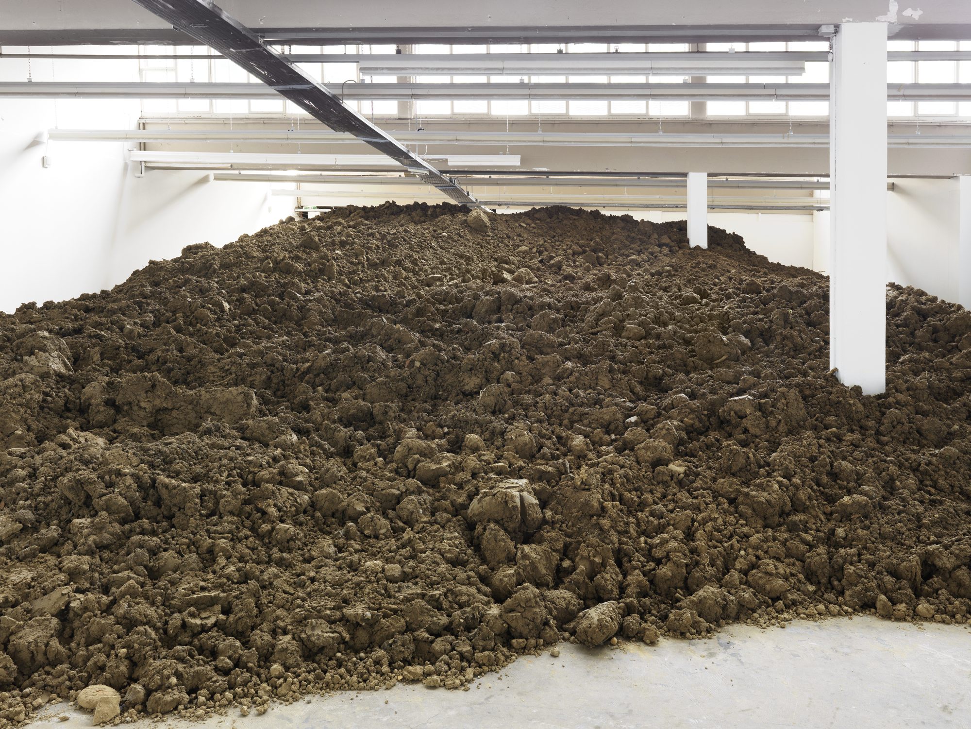 Lara Almarceguis Installation in der Shedhalle.