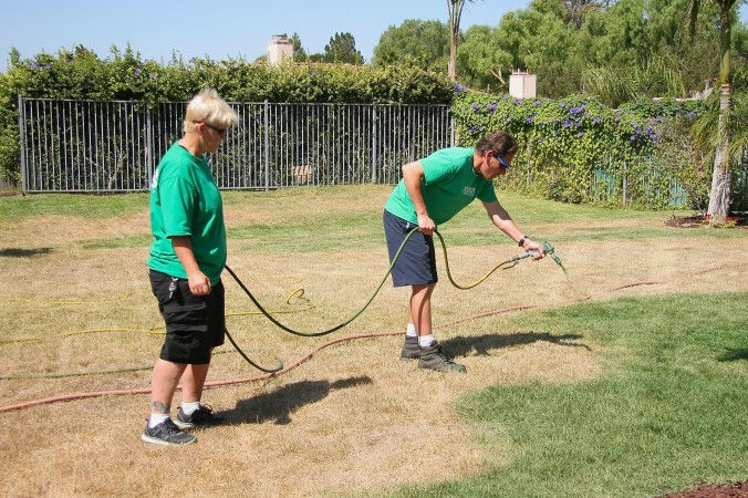 Schon mal über einen Berufswechsel nachgedacht? Wenn Sie nicht wissen, was Sie mit Ihrem Leben anfangen sollen, werden Sie doch einfach Lawn Painter. Die Nachfrage ist derzeit garantiert.