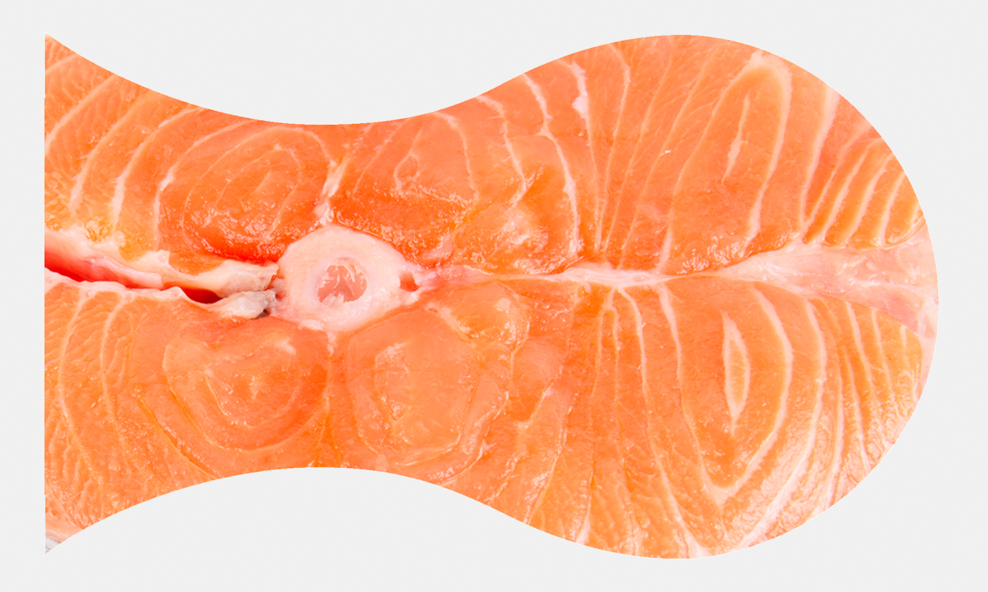 Hunger zwischendurch? Für Fans der japanischen Küche: Der Sashimisagg.