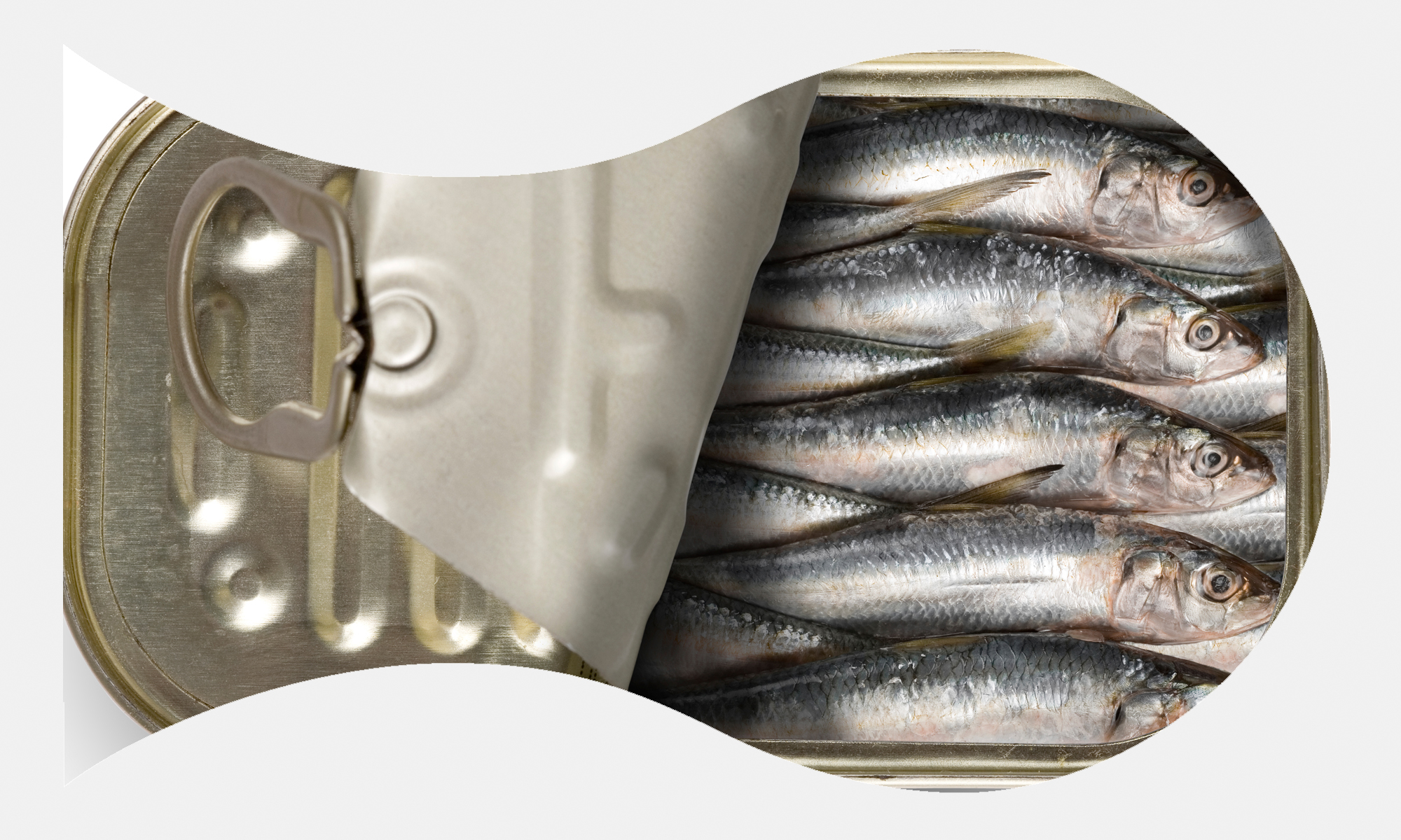 Mit dem Dosenfisch geben Sie an besonders heissen Wochenenden ein klares Statement an Ihre unzähligen Mitschwimmer ab.