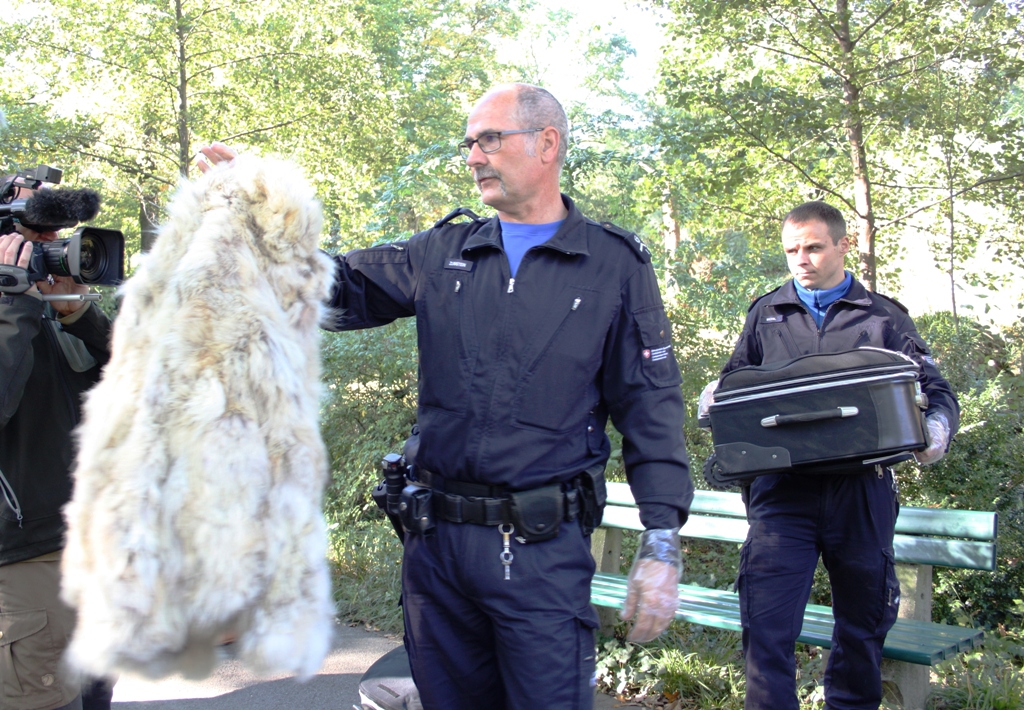 Dieser Wolfpelz wurde von den Berufssuchern in wenigen Sekunden erschnüffelt.