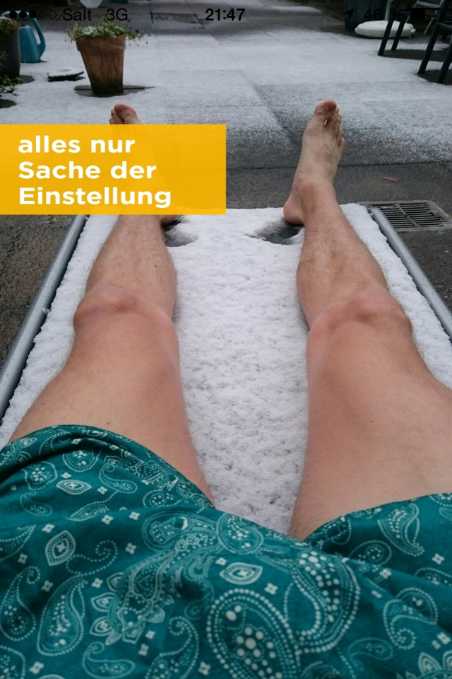 Die Harten sitzen auch bei Schnee im Garten.