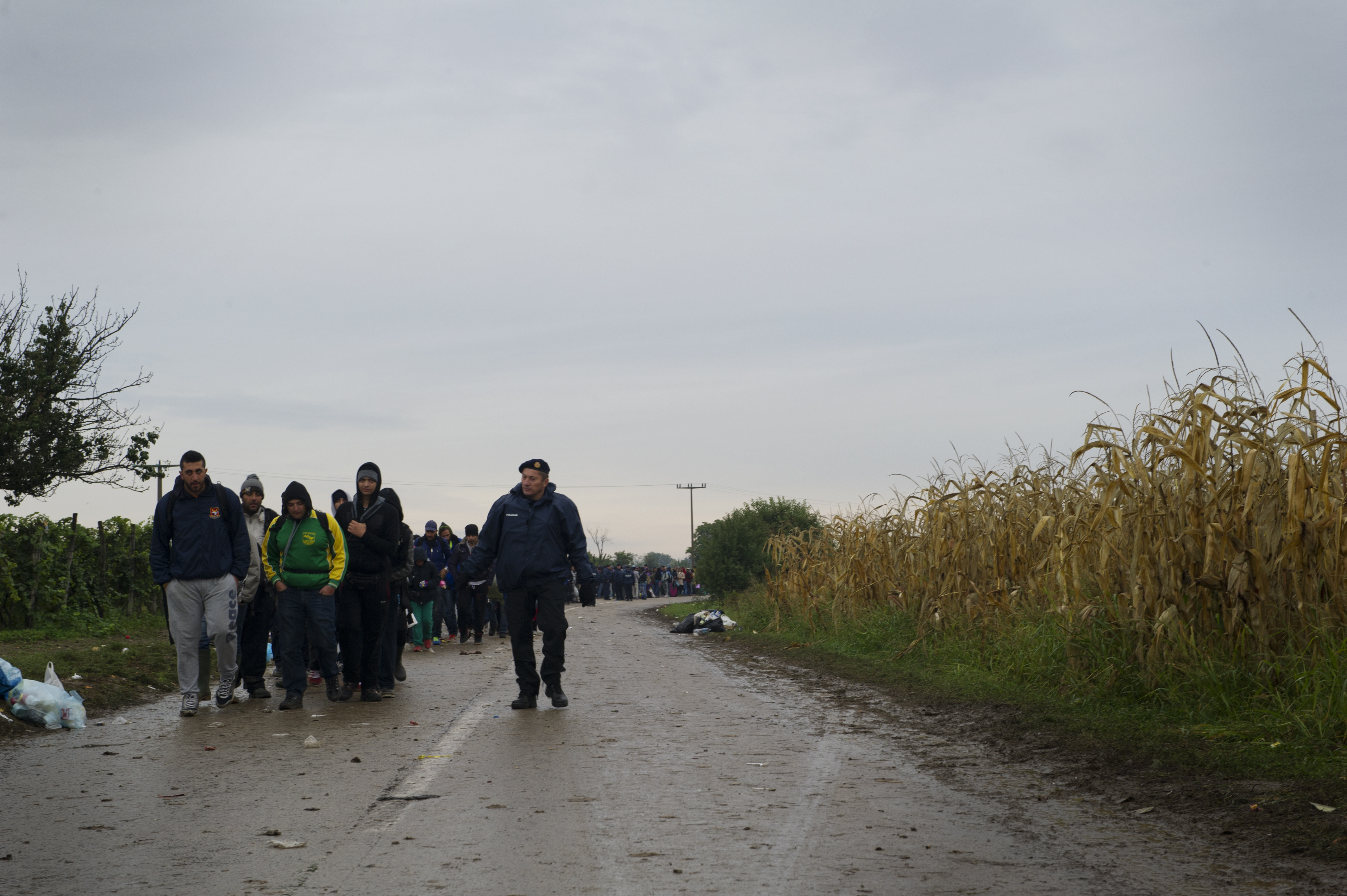 Tausende Flüchtling überqueren täglich die Serbisch-Kroatische Grenze.