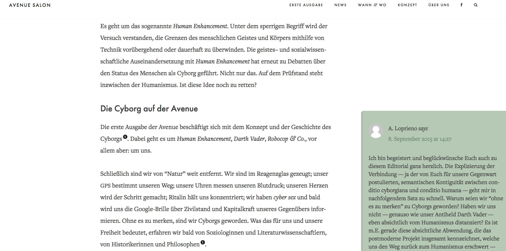 Einladung zum Dialog: Die Direkt-Kommentarfunktion auf der «Avenue»-Webseite (Screenshot).