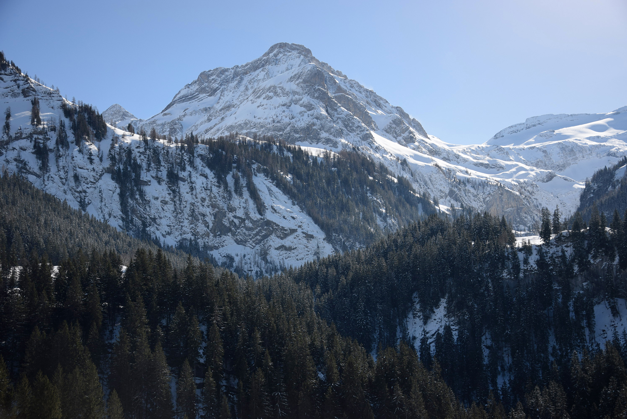 Blick auf das Niesehorn.