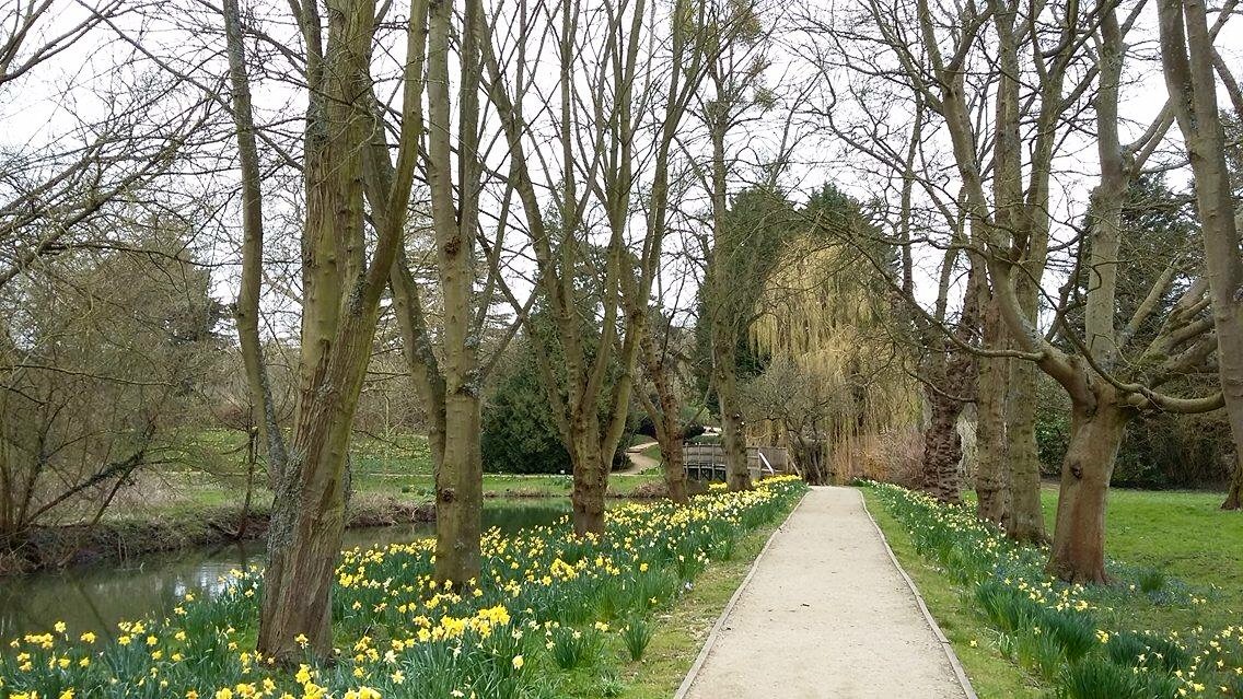 So sieht in Oxford ein abgeriegelter Uni-Park aus.