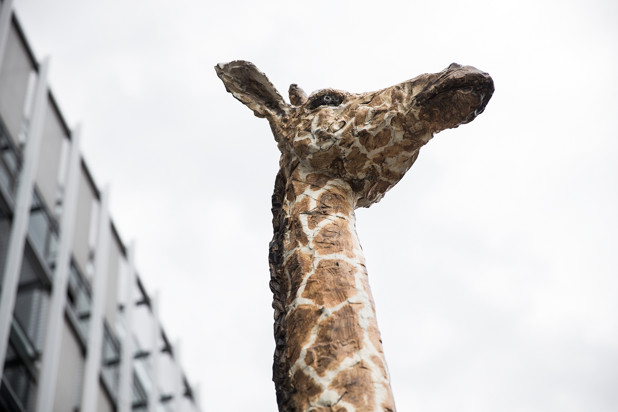 FOTO: TAGESWOCHE/STEFAN BOHRER - 29.4.16 - STRASBOURG/FR: BESUCH BEIM TV SENDER ARTE IN STRASBOURG - DER GIRAFFENMANN VON STEPHAN BALKENHOHL