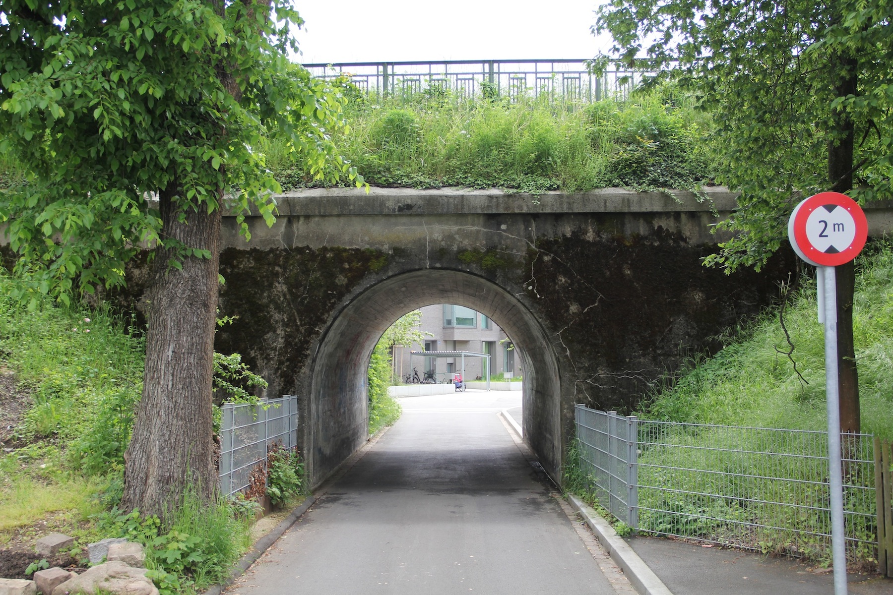 Verwildert, doch vor Verwaldung geschützt: Die Bahndämme der DB prägen das Stadtbild im Hirzbrunnen-Quartier - vor allem im Gebiet Schorenmatten/Im Surinam.