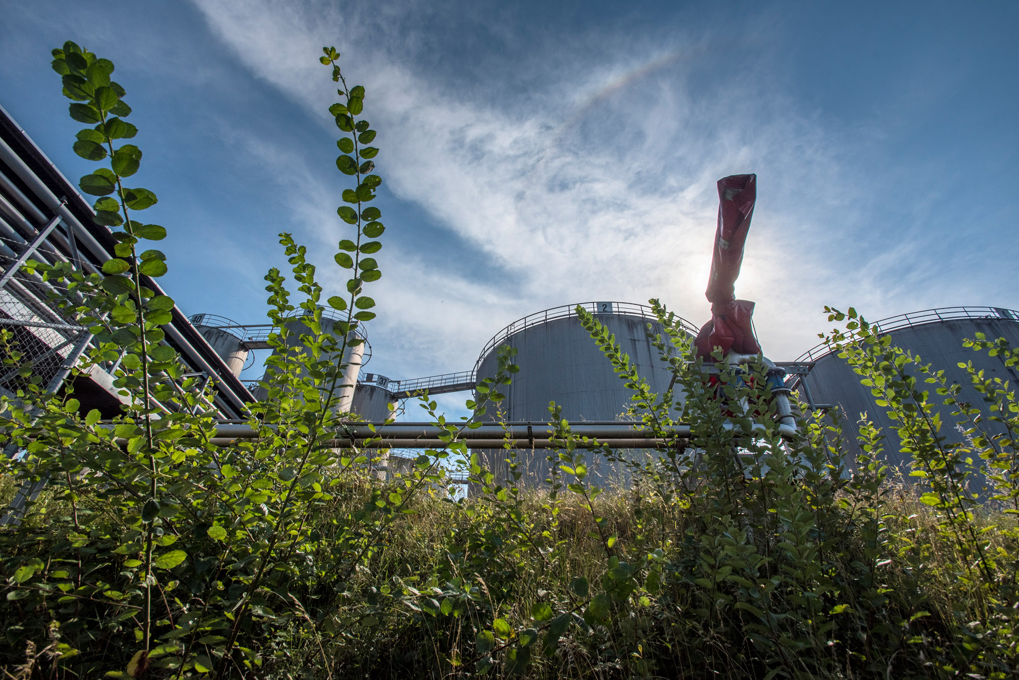 Eindrücke im und am Birsfelder Rheinhafen-Areal.