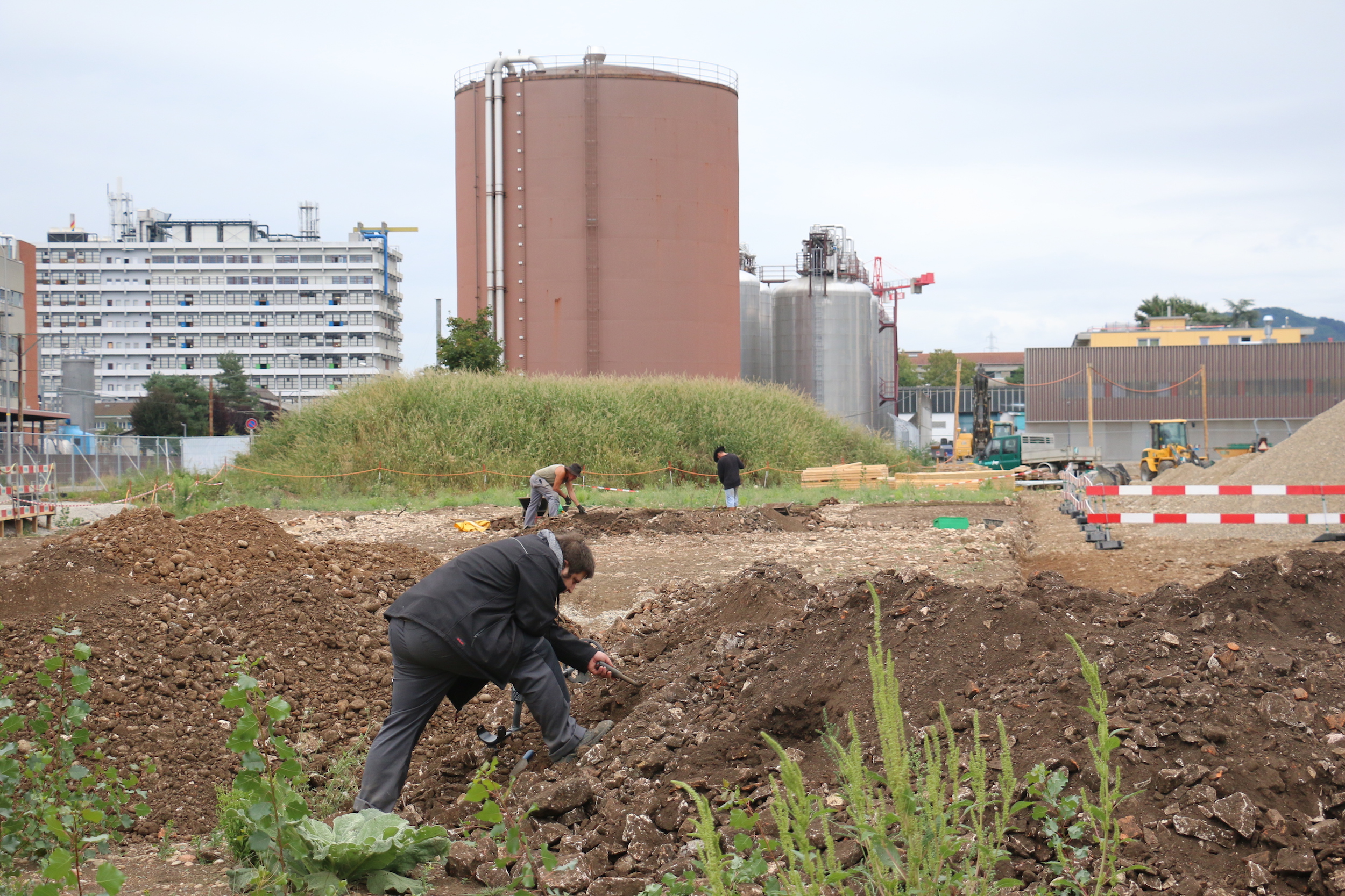 Die Mauern eines grossen länglichen Gebäudes waren für die Baselbieter Archäologen lange ein Rätsel. Aufgrund von Funden, die Pferdegeschirren zugeordnet werden konnten, ist jetzt klarer: Hier könnten Pferdestallungen gewesen sein.