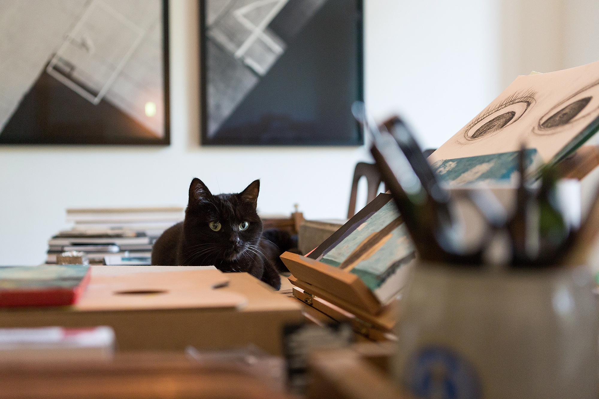 Katzen ruhen sich am liebsten dort aus, wo kreativ gearbeitet wird — auch Katze 