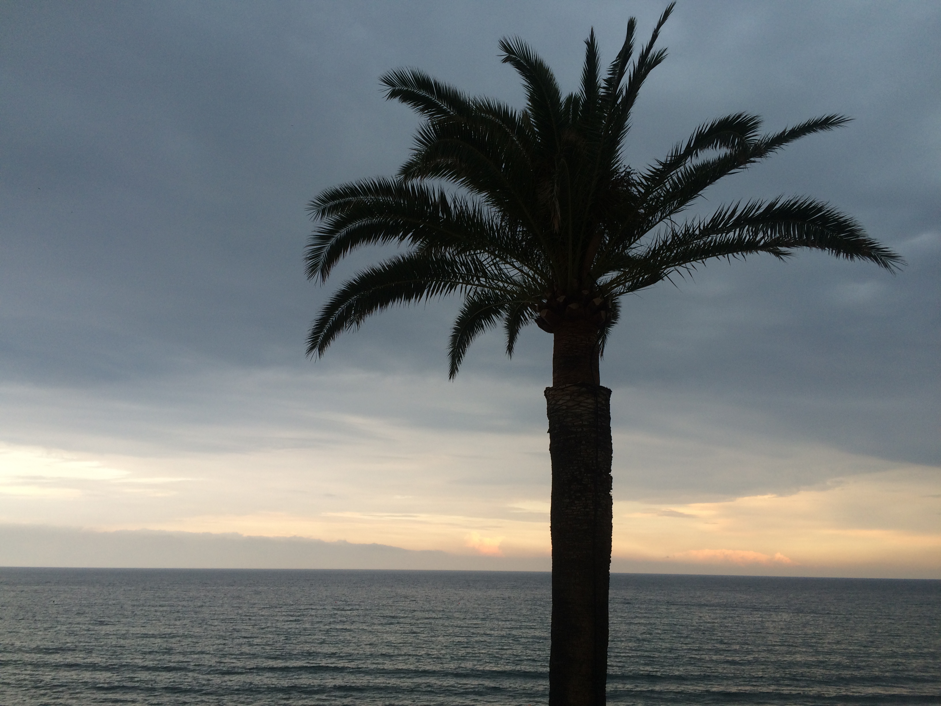 Hello, Baby, du siehst nach Ferien aus.
