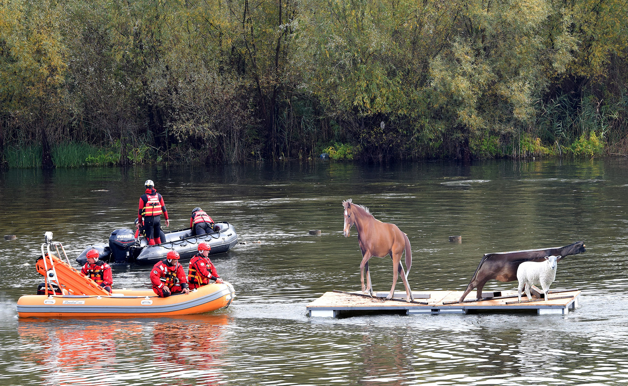 epa05615878 Rescue workers train to evacuate mock animals trapped on a mock roof during an international field exerciseduring the international field exercises organised and conducted by NATO's Euro-Atlantic Disaster Response Coordination Centre (EADRCC) in the Plavnica village near Podgorica, Montenegro, 03 November 2016. EPA/BORIS PEJOVIC