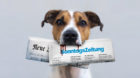 <p>Welchem Herrchen dienen die Wachhunde der Demokratie? Das ist des Pudels Kern.</p>