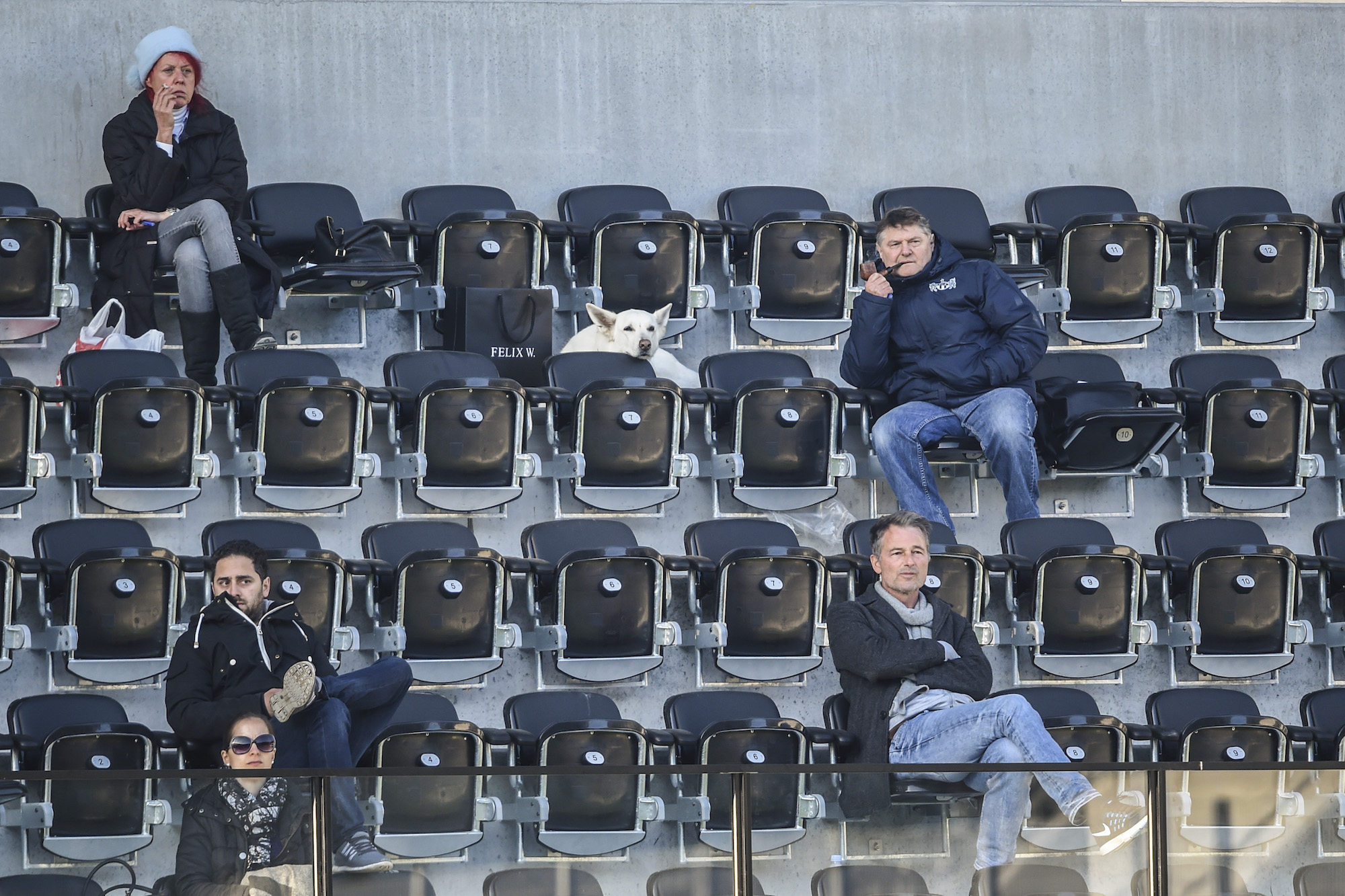 29.01.2017; Schaffhausen; Fussball - St.Gallen - FC Zuerich; Heliane Canepa, Schaeferhuendin Kookie, Praesident Ancillo Canepa (Zuerich) Sportchef Thomas Bickel (Zuerich) auf der Tribuene (Andy Mueller/freshfocus)