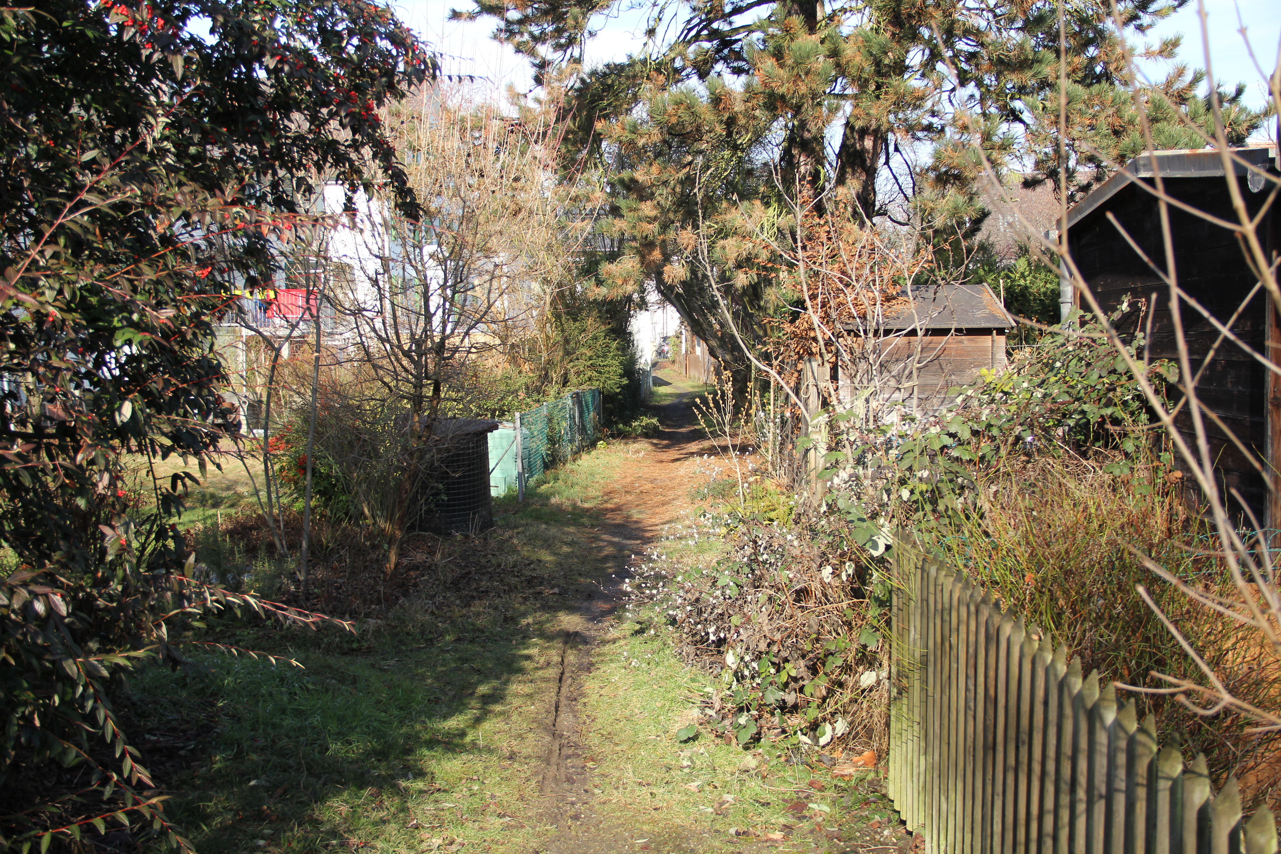 Hinterhof-Idylle zwischen Göschenen- und General Guisan-Strasse.