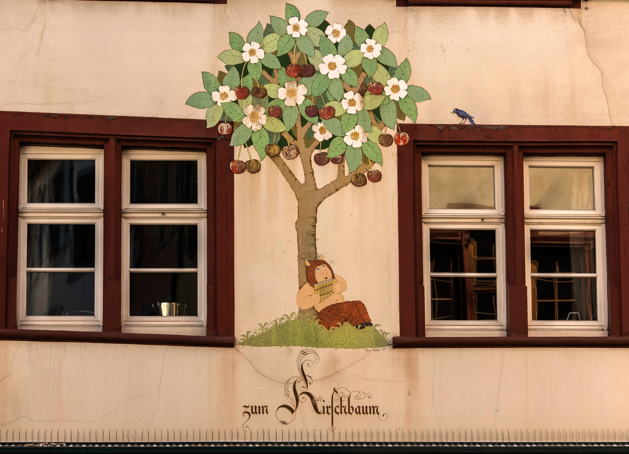 Bevor die Häuser nummeriert wurden orientierten sich die Leute am Spalenberg am weltweit einzigen Kirschbaum der zugleich blüht und Früchte trägt.