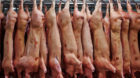 ARCHIV - Schweinehälften hängen am 28.02.2013 in Rheda-Wiedenbrück (Nordrhein-Westfalen) in der Produktionshalle des Fleis